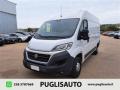 usato FIAT Ducato