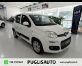 usato FIAT Panda