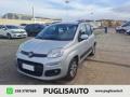 usato FIAT Panda