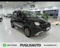 usato FIAT Panda