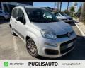 usato FIAT Panda