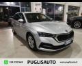 usato SKODA Octavia