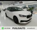 usato SKODA Fabia