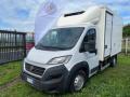 usato FIAT Ducato