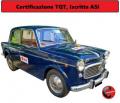 usato FIAT 1100