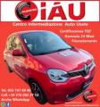 usato RENAULT Twingo