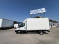 usato IVECO DAILY 35C16H3.0 BOX