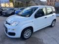 usato FIAT Panda