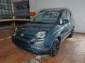 usato FIAT Panda Cross