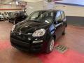 usato FIAT Panda