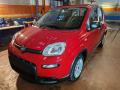 usato FIAT Panda