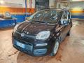 usato FIAT Panda