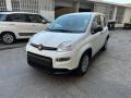 usato FIAT Panda