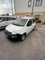 usato FIAT Panda