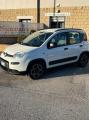 usato FIAT Panda