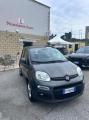 usato FIAT Panda