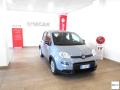 usato FIAT Panda