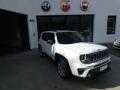 usato JEEP Renegade