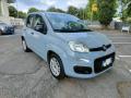 usato FIAT Panda