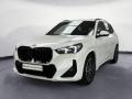 usato BMW X1