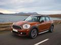 usato MINI Countryman