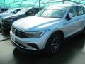 usato VOLKSWAGEN Tiguan