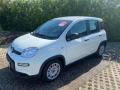 nuovo FIAT Panda