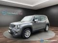 usato JEEP Renegade