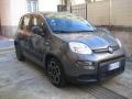 usato FIAT New Panda