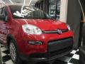 usato FIAT New Panda