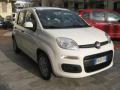 usato FIAT New Panda