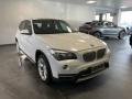 usato BMW X1