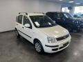 usato FIAT Panda