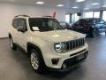 usato JEEP Renegade