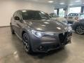 usato ALFA ROMEO Stelvio