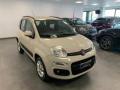 usato FIAT Panda