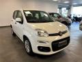 usato FIAT Panda