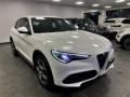 usato ALFA ROMEO Stelvio