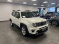 usato JEEP Renegade