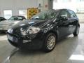 usato FIAT Punto