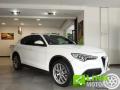 usato ALFA ROMEO Stelvio