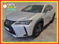 usato LEXUS UX 250h