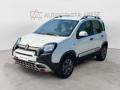 usato FIAT Panda Cross