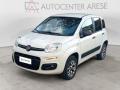 usato FIAT Panda