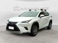 usato LEXUS NX 300