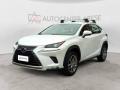 usato LEXUS NX 300