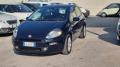 usato FIAT Punto