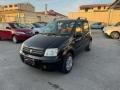 usato FIAT Panda