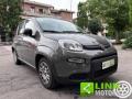 usato FIAT Panda