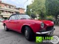 usato FIAT 124 Spider